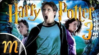 Dans "Harry Potter", qui est professeur de métamorphose ?