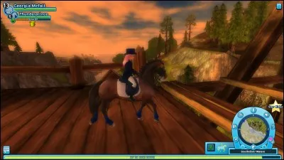 Pourquoi Star Stable n'est pas trop réaliste ? (PS : je n'ai noté qu'une partie des choses car sinon, ce serait trop long.)