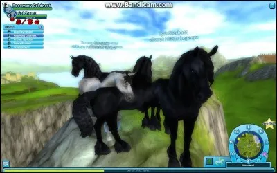 Jusqu'à quel niveau peut-on aller quand nous sommes Star ?