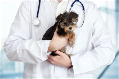 Combien de temps votre internat a-t-il duré ?