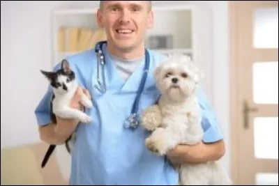 Je vois... Et quelle est la durée de vos études après le baccalauréat pour devenir vétérinaire ?