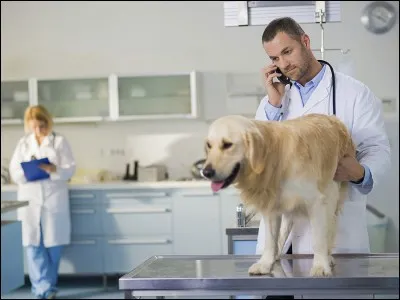 Êtes-vous susceptible d'intervenir dans les armées ?