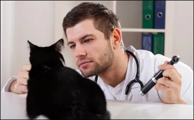 Mais dites-moi, on m'a parlé des vaccins des animaux, que pourriez-vous me dire à ce sujet ?