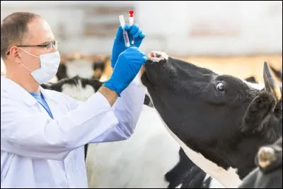 Vous vous occupez également des NAC...