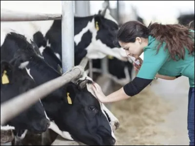 Mais dites-moi, si vous êtes diplômé en Allemagne, pouvez-vous exercer en France ?