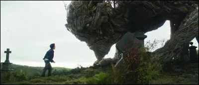 Dans quel film un grand arbre aide-t-il un petit garçon à accepter la maladie et la mort prochaine de sa maman ?