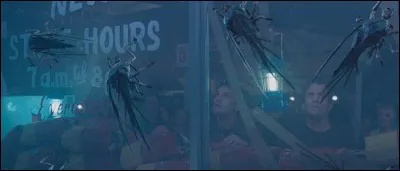 Dans l'adaptation "The Mist", des créatures inquiétantes se tapissent dans la brume. Mais de quel auteur est cette nouvelle à l'origine ?