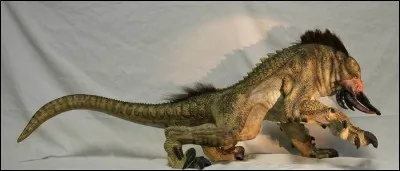 Quel lieu investit la créature du film "Relic" ?