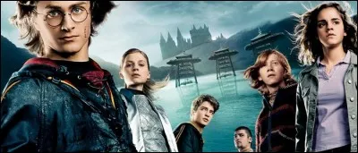 Dans les films "Harry Potter", laquelle de ces créatures est appelée "Strangulot" ?