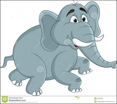 Comment s'appelle le bébé de l'éléphant ?