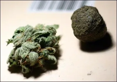 Quelle rappeuse française a interprété 'La boulette' ?