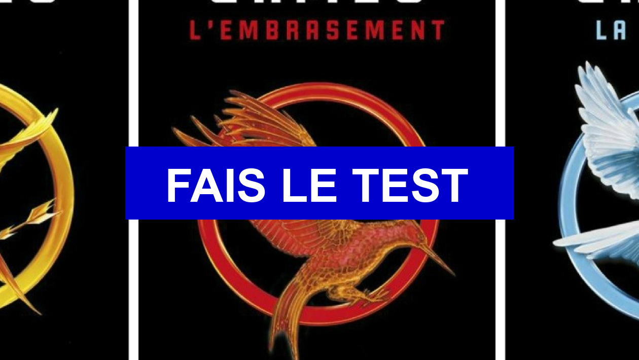 Quel Personnage De Hunger Games Es Tu Test de personnalité Hunger Games - Dans quel district es-tu ?