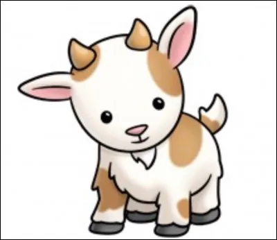 Comment s'appelle le bébé du bouquetin ?