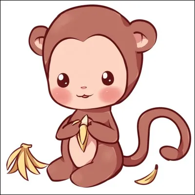 Quel est le nom du bébé singe ?