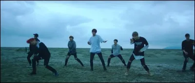 De quel MV est issue cette image ?