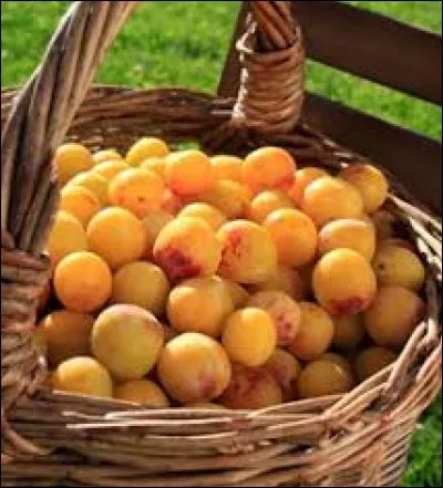 Quel est le nom de ce fruit lorrain ?