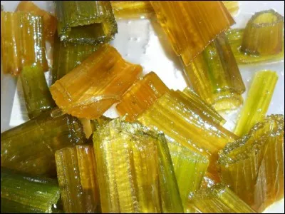 De quelle ville est originaire l'angélique ?