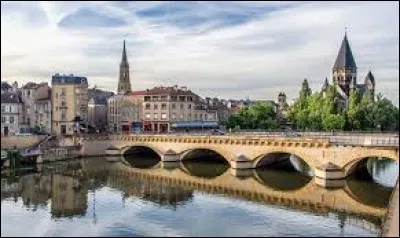 Si un spatz passe dans le ciel, vous avez vu ...