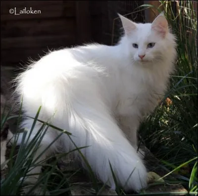 Sais-tu tenir tête à quelqu'un ?