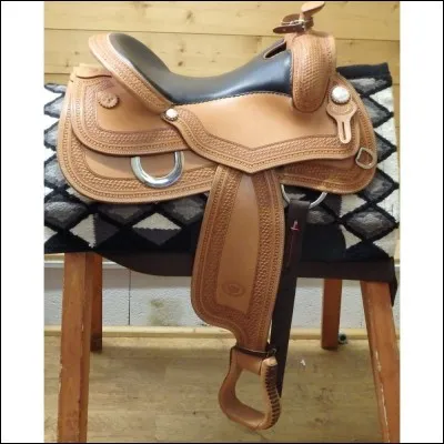 Cette selle est-elle utilisée pour le CSO ?