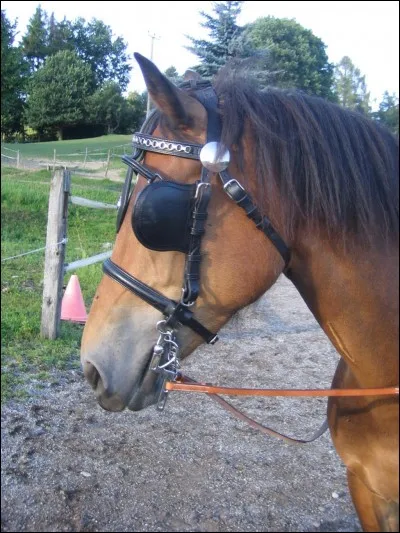 À quoi servent ces accessoires ?