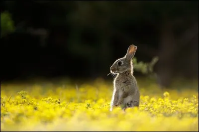 Dans ce métier, la cible espérée ...