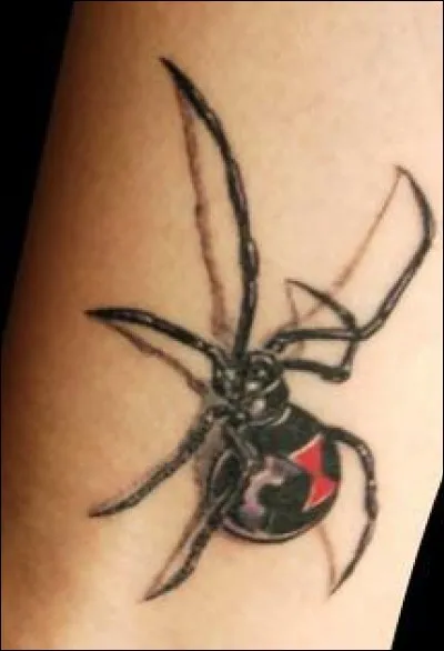 Combien de pattes ont les araignées ?