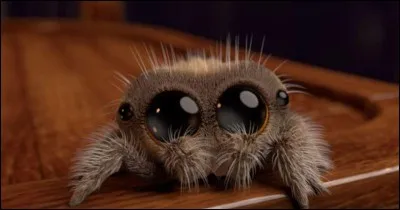 Comment appelle-t-on la phobie des araignées ?