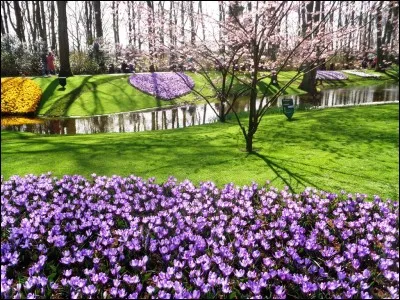 Comment se nomme cet immense parc floral, situé aux Pays-Bas, où l'on peut venir admirer des millions de plantes à bulbe entre avril et mai ?