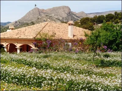 Dans quelle chanson, interprétée par Céline Dion, peut-on entendre "que les choses ont changé, que les fleurs ont fané, que le temps d'avant, c'était le temps d'avant" ?