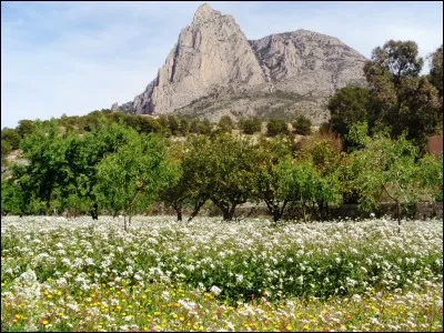 Si je vous dis que ce quiz est absolument magnifique, que me répondrez-vous ?