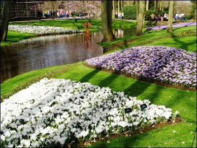 Dans sa chanson "Le Pouvoir des Fleurs", que veut changer Laurent Voulzy avec des géraniums ?