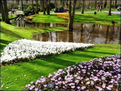 Que signifie l'expression "partir la fleur au fusil" ?