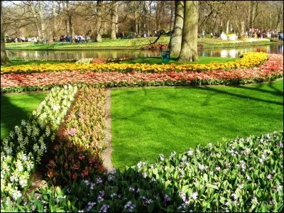 Quelle île portugaise de l'océan Atlantique est surnommée "l'île aux fleurs" en raison de son climat doux toute l'année permettant à de nombreuses variétés de fleurs d'éclore à divers moments ?