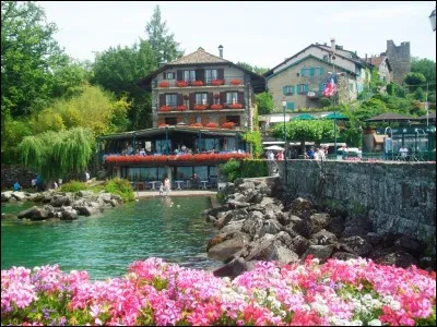 L'arum titan est une fleur très particulière. Parmi ces affirmations la concernant, laquelle est fausse ?