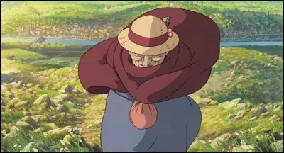 Dans "Le château ambulant", Sophie se fait suivre par ...