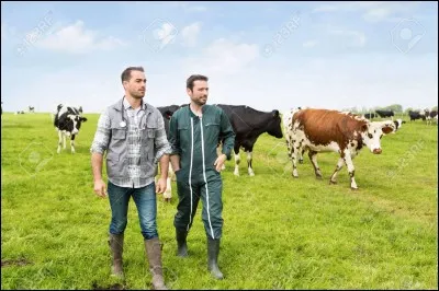 Quel est ce métier ?