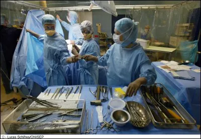 De quel métier s'agit-il sur cette image ?