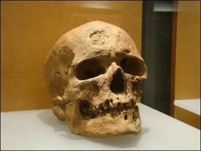 Avant, les hommes étaient...