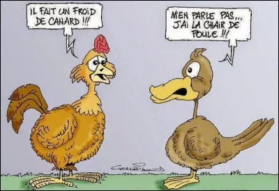 Quel mot indique que l'on tremble de froid ?