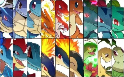 Qu'est-ce que tu aimes le plus ?