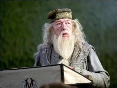 Qui est Albus Dumbledore ? 
(Harry Potter)
