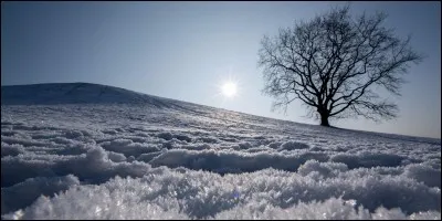 Comme c'est l'hiver, le __ va être recouvert de neige !