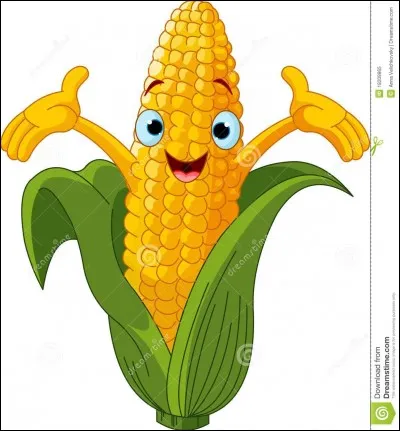 C'est un __ de maïs, mais on saigne si on en touche.