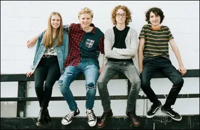 Quel est le nom du groupe de Finn Wolfhard ?