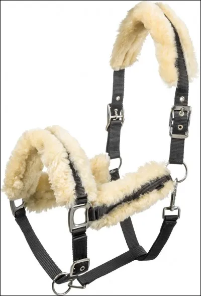 Qu'est-ce que c'est ?