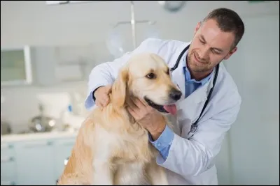 Je viens chez vous, je travaille hors des horaires des autres employés du même métier. Qui suis-je ?