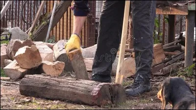 Tu veux des bûches ? Je te les découpe si tu veux !