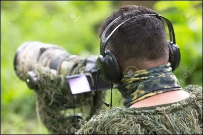 J'observe le ciel. Je regarde les oiseaux. J'en découvre des nouveaux...