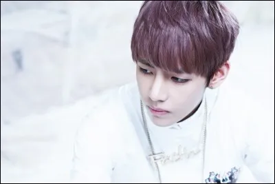 Quelles sont ses couleurs préférées ?